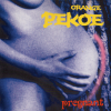 ORANGE PEKOE - pregnant